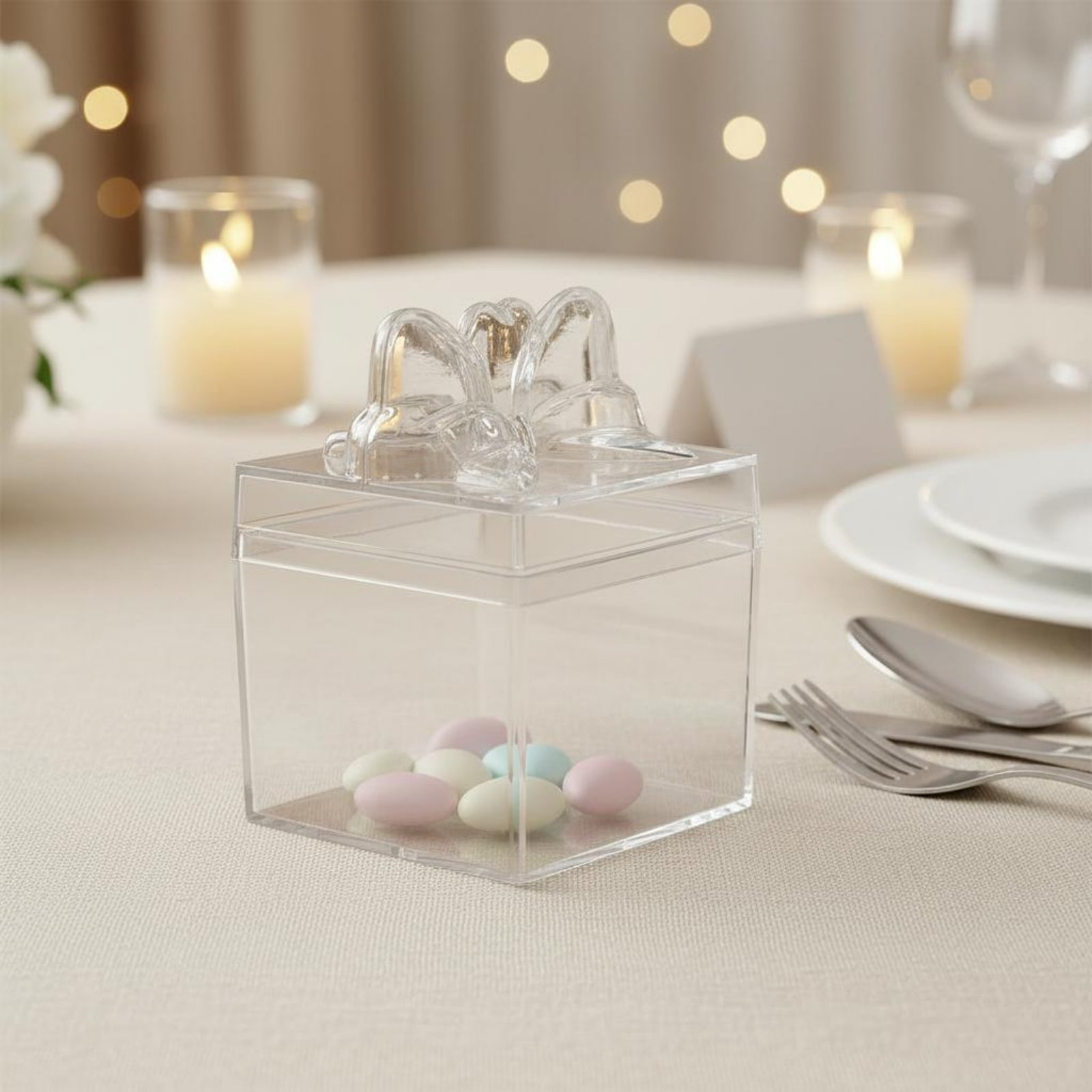 Food Storage Box - Transparante plastic snoepdoos met lint, multifunctionele