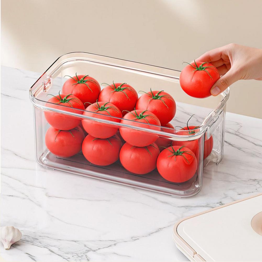 Opbergbox met uittrekbare lage - Food Storage Without Plastic recensie en prijs
